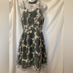 Lace + Mesh Sleeveless Floral Fit-and-Flare Dress Cream/Dark Green size medium